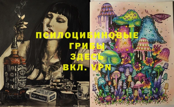 бошки Абинск