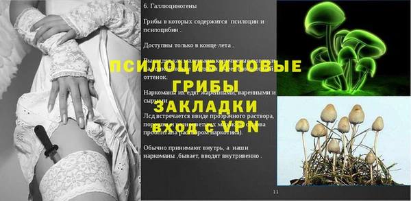 гидропоника Абдулино