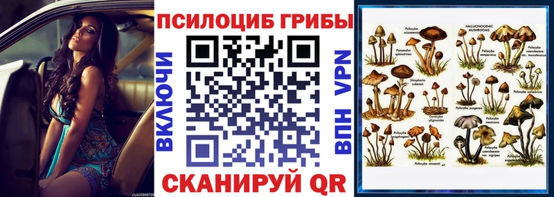 нарко площадка Telegram  Таштагол  MEGA ссылки  Псилоцибиновые грибы MAGIC MUSHROOMS  наркошоп 